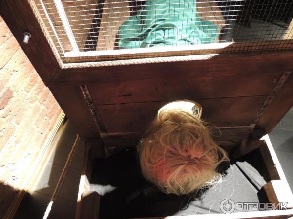 промокод в музей магии. Смотреть фото промокод в музей магии. Смотреть картинку промокод в музей магии. Картинка про промокод в музей магии. Фото промокод в музей магии промокод в музей магии. Смотреть фото промокод в музей магии. Смотреть картинку промокод в музей магии. Картинка про промокод в музей магии. Фото промокод в музей магии