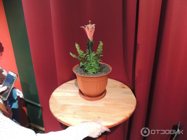 промокод в музей магии. Смотреть фото промокод в музей магии. Смотреть картинку промокод в музей магии. Картинка про промокод в музей магии. Фото промокод в музей магии промокод в музей магии. Смотреть фото промокод в музей магии. Смотреть картинку промокод в музей магии. Картинка про промокод в музей магии. Фото промокод в музей магии