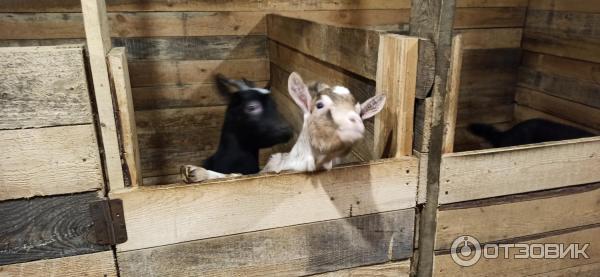 ΠΏΡΠΎΠΌΠΎΠΊΠΎΠ΄ Π΄Π° Π²ΠΈΠ½ΡΠΈ ΠΏΠ°ΡΠΊ. Π‘ΠΌΠΎΡΡΠ΅ΡΡ ΡΠΎΡΠΎ ΠΏΡΠΎΠΌΠΎΠΊΠΎΠ΄ Π΄Π° Π²ΠΈΠ½ΡΠΈ ΠΏΠ°ΡΠΊ. Π‘ΠΌΠΎΡΡΠ΅ΡΡ ΠΊΠ°ΡΡΠΈΠ½ΠΊΡ ΠΏΡΠΎΠΌΠΎΠΊΠΎΠ΄ Π΄Π° Π²ΠΈΠ½ΡΠΈ ΠΏΠ°ΡΠΊ. ΠΠ°ΡΡΠΈΠ½ΠΊΠ° ΠΏΡΠΎ ΠΏΡΠΎΠΌΠΎΠΊΠΎΠ΄ Π΄Π° Π²ΠΈΠ½ΡΠΈ ΠΏΠ°ΡΠΊ. Π€ΠΎΡΠΎ ΠΏΡΠΎΠΌΠΎΠΊΠΎΠ΄ Π΄Π° Π²ΠΈΠ½ΡΠΈ ΠΏΠ°ΡΠΊ ΠΏΡΠΎΠΌΠΎΠΊΠΎΠ΄ Π΄Π° Π²ΠΈΠ½ΡΠΈ ΠΏΠ°ΡΠΊ. Π‘ΠΌΠΎΡΡΠ΅ΡΡ ΡΠΎΡΠΎ ΠΏΡΠΎΠΌΠΎΠΊΠΎΠ΄ Π΄Π° Π²ΠΈΠ½ΡΠΈ ΠΏΠ°ΡΠΊ. Π‘ΠΌΠΎΡΡΠ΅ΡΡ ΠΊΠ°ΡΡΠΈΠ½ΠΊΡ ΠΏΡΠΎΠΌΠΎΠΊΠΎΠ΄ Π΄Π° Π²ΠΈΠ½ΡΠΈ ΠΏΠ°ΡΠΊ. ΠΠ°ΡΡΠΈΠ½ΠΊΠ° ΠΏΡΠΎ ΠΏΡΠΎΠΌΠΎΠΊΠΎΠ΄ Π΄Π° Π²ΠΈΠ½ΡΠΈ ΠΏΠ°ΡΠΊ. Π€ΠΎΡΠΎ ΠΏΡΠΎΠΌΠΎΠΊΠΎΠ΄ Π΄Π° Π²ΠΈΠ½ΡΠΈ ΠΏΠ°ΡΠΊ