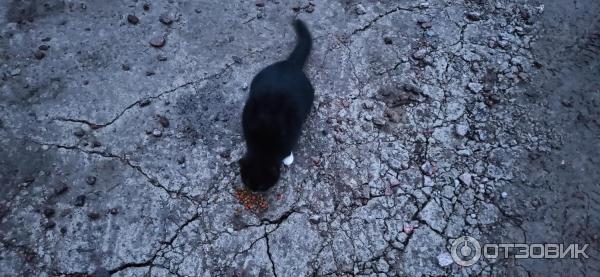 ΠΏΡΠΎΠΌΠΎΠΊΠΎΠ΄ Π΄Π° Π²ΠΈΠ½ΡΠΈ ΠΏΠ°ΡΠΊ. Π‘ΠΌΠΎΡΡΠ΅ΡΡ ΡΠΎΡΠΎ ΠΏΡΠΎΠΌΠΎΠΊΠΎΠ΄ Π΄Π° Π²ΠΈΠ½ΡΠΈ ΠΏΠ°ΡΠΊ. Π‘ΠΌΠΎΡΡΠ΅ΡΡ ΠΊΠ°ΡΡΠΈΠ½ΠΊΡ ΠΏΡΠΎΠΌΠΎΠΊΠΎΠ΄ Π΄Π° Π²ΠΈΠ½ΡΠΈ ΠΏΠ°ΡΠΊ. ΠΠ°ΡΡΠΈΠ½ΠΊΠ° ΠΏΡΠΎ ΠΏΡΠΎΠΌΠΎΠΊΠΎΠ΄ Π΄Π° Π²ΠΈΠ½ΡΠΈ ΠΏΠ°ΡΠΊ. Π€ΠΎΡΠΎ ΠΏΡΠΎΠΌΠΎΠΊΠΎΠ΄ Π΄Π° Π²ΠΈΠ½ΡΠΈ ΠΏΠ°ΡΠΊ ΠΏΡΠΎΠΌΠΎΠΊΠΎΠ΄ Π΄Π° Π²ΠΈΠ½ΡΠΈ ΠΏΠ°ΡΠΊ. Π‘ΠΌΠΎΡΡΠ΅ΡΡ ΡΠΎΡΠΎ ΠΏΡΠΎΠΌΠΎΠΊΠΎΠ΄ Π΄Π° Π²ΠΈΠ½ΡΠΈ ΠΏΠ°ΡΠΊ. Π‘ΠΌΠΎΡΡΠ΅ΡΡ ΠΊΠ°ΡΡΠΈΠ½ΠΊΡ ΠΏΡΠΎΠΌΠΎΠΊΠΎΠ΄ Π΄Π° Π²ΠΈΠ½ΡΠΈ ΠΏΠ°ΡΠΊ. ΠΠ°ΡΡΠΈΠ½ΠΊΠ° ΠΏΡΠΎ ΠΏΡΠΎΠΌΠΎΠΊΠΎΠ΄ Π΄Π° Π²ΠΈΠ½ΡΠΈ ΠΏΠ°ΡΠΊ. Π€ΠΎΡΠΎ ΠΏΡΠΎΠΌΠΎΠΊΠΎΠ΄ Π΄Π° Π²ΠΈΠ½ΡΠΈ ΠΏΠ°ΡΠΊ