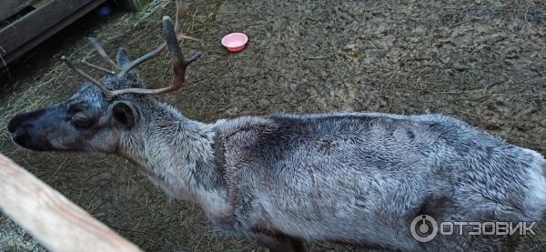 ΠΏΡΠΎΠΌΠΎΠΊΠΎΠ΄ Π΄Π° Π²ΠΈΠ½ΡΠΈ ΠΏΠ°ΡΠΊ. Π‘ΠΌΠΎΡΡΠ΅ΡΡ ΡΠΎΡΠΎ ΠΏΡΠΎΠΌΠΎΠΊΠΎΠ΄ Π΄Π° Π²ΠΈΠ½ΡΠΈ ΠΏΠ°ΡΠΊ. Π‘ΠΌΠΎΡΡΠ΅ΡΡ ΠΊΠ°ΡΡΠΈΠ½ΠΊΡ ΠΏΡΠΎΠΌΠΎΠΊΠΎΠ΄ Π΄Π° Π²ΠΈΠ½ΡΠΈ ΠΏΠ°ΡΠΊ. ΠΠ°ΡΡΠΈΠ½ΠΊΠ° ΠΏΡΠΎ ΠΏΡΠΎΠΌΠΎΠΊΠΎΠ΄ Π΄Π° Π²ΠΈΠ½ΡΠΈ ΠΏΠ°ΡΠΊ. Π€ΠΎΡΠΎ ΠΏΡΠΎΠΌΠΎΠΊΠΎΠ΄ Π΄Π° Π²ΠΈΠ½ΡΠΈ ΠΏΠ°ΡΠΊ ΠΏΡΠΎΠΌΠΎΠΊΠΎΠ΄ Π΄Π° Π²ΠΈΠ½ΡΠΈ ΠΏΠ°ΡΠΊ. Π‘ΠΌΠΎΡΡΠ΅ΡΡ ΡΠΎΡΠΎ ΠΏΡΠΎΠΌΠΎΠΊΠΎΠ΄ Π΄Π° Π²ΠΈΠ½ΡΠΈ ΠΏΠ°ΡΠΊ. Π‘ΠΌΠΎΡΡΠ΅ΡΡ ΠΊΠ°ΡΡΠΈΠ½ΠΊΡ ΠΏΡΠΎΠΌΠΎΠΊΠΎΠ΄ Π΄Π° Π²ΠΈΠ½ΡΠΈ ΠΏΠ°ΡΠΊ. ΠΠ°ΡΡΠΈΠ½ΠΊΠ° ΠΏΡΠΎ ΠΏΡΠΎΠΌΠΎΠΊΠΎΠ΄ Π΄Π° Π²ΠΈΠ½ΡΠΈ ΠΏΠ°ΡΠΊ. Π€ΠΎΡΠΎ ΠΏΡΠΎΠΌΠΎΠΊΠΎΠ΄ Π΄Π° Π²ΠΈΠ½ΡΠΈ ΠΏΠ°ΡΠΊ