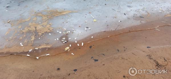 ΠΏΡΠΎΠΌΠΎΠΊΠΎΠ΄ Π΄Π° Π²ΠΈΠ½ΡΠΈ ΠΏΠ°ΡΠΊ. Π‘ΠΌΠΎΡΡΠ΅ΡΡ ΡΠΎΡΠΎ ΠΏΡΠΎΠΌΠΎΠΊΠΎΠ΄ Π΄Π° Π²ΠΈΠ½ΡΠΈ ΠΏΠ°ΡΠΊ. Π‘ΠΌΠΎΡΡΠ΅ΡΡ ΠΊΠ°ΡΡΠΈΠ½ΠΊΡ ΠΏΡΠΎΠΌΠΎΠΊΠΎΠ΄ Π΄Π° Π²ΠΈΠ½ΡΠΈ ΠΏΠ°ΡΠΊ. ΠΠ°ΡΡΠΈΠ½ΠΊΠ° ΠΏΡΠΎ ΠΏΡΠΎΠΌΠΎΠΊΠΎΠ΄ Π΄Π° Π²ΠΈΠ½ΡΠΈ ΠΏΠ°ΡΠΊ. Π€ΠΎΡΠΎ ΠΏΡΠΎΠΌΠΎΠΊΠΎΠ΄ Π΄Π° Π²ΠΈΠ½ΡΠΈ ΠΏΠ°ΡΠΊ ΠΏΡΠΎΠΌΠΎΠΊΠΎΠ΄ Π΄Π° Π²ΠΈΠ½ΡΠΈ ΠΏΠ°ΡΠΊ. Π‘ΠΌΠΎΡΡΠ΅ΡΡ ΡΠΎΡΠΎ ΠΏΡΠΎΠΌΠΎΠΊΠΎΠ΄ Π΄Π° Π²ΠΈΠ½ΡΠΈ ΠΏΠ°ΡΠΊ. Π‘ΠΌΠΎΡΡΠ΅ΡΡ ΠΊΠ°ΡΡΠΈΠ½ΠΊΡ ΠΏΡΠΎΠΌΠΎΠΊΠΎΠ΄ Π΄Π° Π²ΠΈΠ½ΡΠΈ ΠΏΠ°ΡΠΊ. ΠΠ°ΡΡΠΈΠ½ΠΊΠ° ΠΏΡΠΎ ΠΏΡΠΎΠΌΠΎΠΊΠΎΠ΄ Π΄Π° Π²ΠΈΠ½ΡΠΈ ΠΏΠ°ΡΠΊ. Π€ΠΎΡΠΎ ΠΏΡΠΎΠΌΠΎΠΊΠΎΠ΄ Π΄Π° Π²ΠΈΠ½ΡΠΈ ΠΏΠ°ΡΠΊ