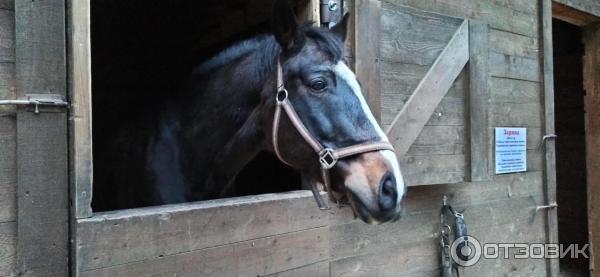 ΠΏΡΠΎΠΌΠΎΠΊΠΎΠ΄ Π΄Π° Π²ΠΈΠ½ΡΠΈ ΠΏΠ°ΡΠΊ. Π‘ΠΌΠΎΡΡΠ΅ΡΡ ΡΠΎΡΠΎ ΠΏΡΠΎΠΌΠΎΠΊΠΎΠ΄ Π΄Π° Π²ΠΈΠ½ΡΠΈ ΠΏΠ°ΡΠΊ. Π‘ΠΌΠΎΡΡΠ΅ΡΡ ΠΊΠ°ΡΡΠΈΠ½ΠΊΡ ΠΏΡΠΎΠΌΠΎΠΊΠΎΠ΄ Π΄Π° Π²ΠΈΠ½ΡΠΈ ΠΏΠ°ΡΠΊ. ΠΠ°ΡΡΠΈΠ½ΠΊΠ° ΠΏΡΠΎ ΠΏΡΠΎΠΌΠΎΠΊΠΎΠ΄ Π΄Π° Π²ΠΈΠ½ΡΠΈ ΠΏΠ°ΡΠΊ. Π€ΠΎΡΠΎ ΠΏΡΠΎΠΌΠΎΠΊΠΎΠ΄ Π΄Π° Π²ΠΈΠ½ΡΠΈ ΠΏΠ°ΡΠΊ ΠΏΡΠΎΠΌΠΎΠΊΠΎΠ΄ Π΄Π° Π²ΠΈΠ½ΡΠΈ ΠΏΠ°ΡΠΊ. Π‘ΠΌΠΎΡΡΠ΅ΡΡ ΡΠΎΡΠΎ ΠΏΡΠΎΠΌΠΎΠΊΠΎΠ΄ Π΄Π° Π²ΠΈΠ½ΡΠΈ ΠΏΠ°ΡΠΊ. Π‘ΠΌΠΎΡΡΠ΅ΡΡ ΠΊΠ°ΡΡΠΈΠ½ΠΊΡ ΠΏΡΠΎΠΌΠΎΠΊΠΎΠ΄ Π΄Π° Π²ΠΈΠ½ΡΠΈ ΠΏΠ°ΡΠΊ. ΠΠ°ΡΡΠΈΠ½ΠΊΠ° ΠΏΡΠΎ ΠΏΡΠΎΠΌΠΎΠΊΠΎΠ΄ Π΄Π° Π²ΠΈΠ½ΡΠΈ ΠΏΠ°ΡΠΊ. Π€ΠΎΡΠΎ ΠΏΡΠΎΠΌΠΎΠΊΠΎΠ΄ Π΄Π° Π²ΠΈΠ½ΡΠΈ ΠΏΠ°ΡΠΊ