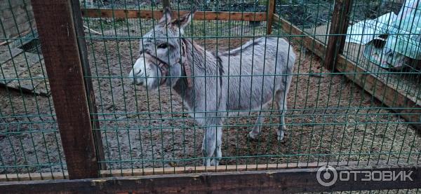 ΠΏΡΠΎΠΌΠΎΠΊΠΎΠ΄ Π΄Π° Π²ΠΈΠ½ΡΠΈ ΠΏΠ°ΡΠΊ. Π‘ΠΌΠΎΡΡΠ΅ΡΡ ΡΠΎΡΠΎ ΠΏΡΠΎΠΌΠΎΠΊΠΎΠ΄ Π΄Π° Π²ΠΈΠ½ΡΠΈ ΠΏΠ°ΡΠΊ. Π‘ΠΌΠΎΡΡΠ΅ΡΡ ΠΊΠ°ΡΡΠΈΠ½ΠΊΡ ΠΏΡΠΎΠΌΠΎΠΊΠΎΠ΄ Π΄Π° Π²ΠΈΠ½ΡΠΈ ΠΏΠ°ΡΠΊ. ΠΠ°ΡΡΠΈΠ½ΠΊΠ° ΠΏΡΠΎ ΠΏΡΠΎΠΌΠΎΠΊΠΎΠ΄ Π΄Π° Π²ΠΈΠ½ΡΠΈ ΠΏΠ°ΡΠΊ. Π€ΠΎΡΠΎ ΠΏΡΠΎΠΌΠΎΠΊΠΎΠ΄ Π΄Π° Π²ΠΈΠ½ΡΠΈ ΠΏΠ°ΡΠΊ ΠΏΡΠΎΠΌΠΎΠΊΠΎΠ΄ Π΄Π° Π²ΠΈΠ½ΡΠΈ ΠΏΠ°ΡΠΊ. Π‘ΠΌΠΎΡΡΠ΅ΡΡ ΡΠΎΡΠΎ ΠΏΡΠΎΠΌΠΎΠΊΠΎΠ΄ Π΄Π° Π²ΠΈΠ½ΡΠΈ ΠΏΠ°ΡΠΊ. Π‘ΠΌΠΎΡΡΠ΅ΡΡ ΠΊΠ°ΡΡΠΈΠ½ΠΊΡ ΠΏΡΠΎΠΌΠΎΠΊΠΎΠ΄ Π΄Π° Π²ΠΈΠ½ΡΠΈ ΠΏΠ°ΡΠΊ. ΠΠ°ΡΡΠΈΠ½ΠΊΠ° ΠΏΡΠΎ ΠΏΡΠΎΠΌΠΎΠΊΠΎΠ΄ Π΄Π° Π²ΠΈΠ½ΡΠΈ ΠΏΠ°ΡΠΊ. Π€ΠΎΡΠΎ ΠΏΡΠΎΠΌΠΎΠΊΠΎΠ΄ Π΄Π° Π²ΠΈΠ½ΡΠΈ ΠΏΠ°ΡΠΊ