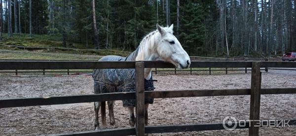 ΠΏΡΠΎΠΌΠΎΠΊΠΎΠ΄ Π΄Π° Π²ΠΈΠ½ΡΠΈ ΠΏΠ°ΡΠΊ. Π‘ΠΌΠΎΡΡΠ΅ΡΡ ΡΠΎΡΠΎ ΠΏΡΠΎΠΌΠΎΠΊΠΎΠ΄ Π΄Π° Π²ΠΈΠ½ΡΠΈ ΠΏΠ°ΡΠΊ. Π‘ΠΌΠΎΡΡΠ΅ΡΡ ΠΊΠ°ΡΡΠΈΠ½ΠΊΡ ΠΏΡΠΎΠΌΠΎΠΊΠΎΠ΄ Π΄Π° Π²ΠΈΠ½ΡΠΈ ΠΏΠ°ΡΠΊ. ΠΠ°ΡΡΠΈΠ½ΠΊΠ° ΠΏΡΠΎ ΠΏΡΠΎΠΌΠΎΠΊΠΎΠ΄ Π΄Π° Π²ΠΈΠ½ΡΠΈ ΠΏΠ°ΡΠΊ. Π€ΠΎΡΠΎ ΠΏΡΠΎΠΌΠΎΠΊΠΎΠ΄ Π΄Π° Π²ΠΈΠ½ΡΠΈ ΠΏΠ°ΡΠΊ ΠΏΡΠΎΠΌΠΎΠΊΠΎΠ΄ Π΄Π° Π²ΠΈΠ½ΡΠΈ ΠΏΠ°ΡΠΊ. Π‘ΠΌΠΎΡΡΠ΅ΡΡ ΡΠΎΡΠΎ ΠΏΡΠΎΠΌΠΎΠΊΠΎΠ΄ Π΄Π° Π²ΠΈΠ½ΡΠΈ ΠΏΠ°ΡΠΊ. Π‘ΠΌΠΎΡΡΠ΅ΡΡ ΠΊΠ°ΡΡΠΈΠ½ΠΊΡ ΠΏΡΠΎΠΌΠΎΠΊΠΎΠ΄ Π΄Π° Π²ΠΈΠ½ΡΠΈ ΠΏΠ°ΡΠΊ. ΠΠ°ΡΡΠΈΠ½ΠΊΠ° ΠΏΡΠΎ ΠΏΡΠΎΠΌΠΎΠΊΠΎΠ΄ Π΄Π° Π²ΠΈΠ½ΡΠΈ ΠΏΠ°ΡΠΊ. Π€ΠΎΡΠΎ ΠΏΡΠΎΠΌΠΎΠΊΠΎΠ΄ Π΄Π° Π²ΠΈΠ½ΡΠΈ ΠΏΠ°ΡΠΊ