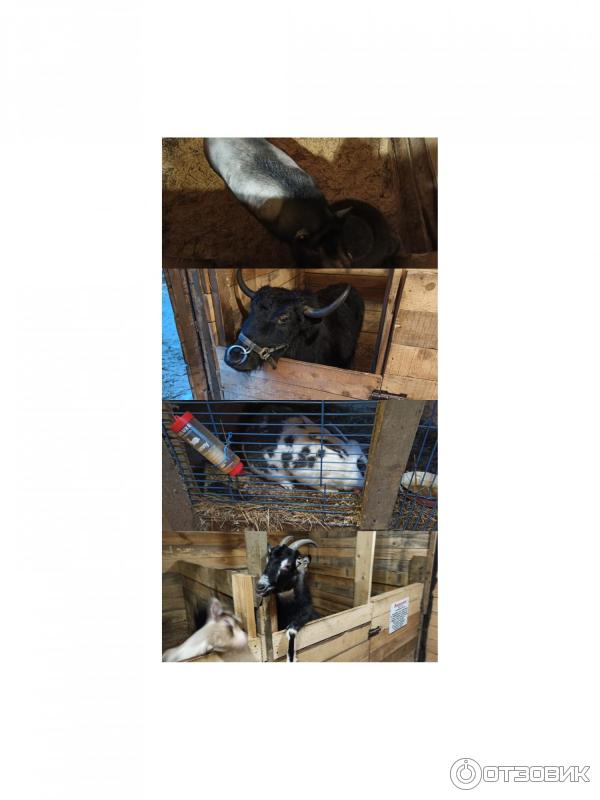 ΠΏΡΠΎΠΌΠΎΠΊΠΎΠ΄ Π΄Π° Π²ΠΈΠ½ΡΠΈ ΠΏΠ°ΡΠΊ. Π‘ΠΌΠΎΡΡΠ΅ΡΡ ΡΠΎΡΠΎ ΠΏΡΠΎΠΌΠΎΠΊΠΎΠ΄ Π΄Π° Π²ΠΈΠ½ΡΠΈ ΠΏΠ°ΡΠΊ. Π‘ΠΌΠΎΡΡΠ΅ΡΡ ΠΊΠ°ΡΡΠΈΠ½ΠΊΡ ΠΏΡΠΎΠΌΠΎΠΊΠΎΠ΄ Π΄Π° Π²ΠΈΠ½ΡΠΈ ΠΏΠ°ΡΠΊ. ΠΠ°ΡΡΠΈΠ½ΠΊΠ° ΠΏΡΠΎ ΠΏΡΠΎΠΌΠΎΠΊΠΎΠ΄ Π΄Π° Π²ΠΈΠ½ΡΠΈ ΠΏΠ°ΡΠΊ. Π€ΠΎΡΠΎ ΠΏΡΠΎΠΌΠΎΠΊΠΎΠ΄ Π΄Π° Π²ΠΈΠ½ΡΠΈ ΠΏΠ°ΡΠΊ ΠΏΡΠΎΠΌΠΎΠΊΠΎΠ΄ Π΄Π° Π²ΠΈΠ½ΡΠΈ ΠΏΠ°ΡΠΊ. Π‘ΠΌΠΎΡΡΠ΅ΡΡ ΡΠΎΡΠΎ ΠΏΡΠΎΠΌΠΎΠΊΠΎΠ΄ Π΄Π° Π²ΠΈΠ½ΡΠΈ ΠΏΠ°ΡΠΊ. Π‘ΠΌΠΎΡΡΠ΅ΡΡ ΠΊΠ°ΡΡΠΈΠ½ΠΊΡ ΠΏΡΠΎΠΌΠΎΠΊΠΎΠ΄ Π΄Π° Π²ΠΈΠ½ΡΠΈ ΠΏΠ°ΡΠΊ. ΠΠ°ΡΡΠΈΠ½ΠΊΠ° ΠΏΡΠΎ ΠΏΡΠΎΠΌΠΎΠΊΠΎΠ΄ Π΄Π° Π²ΠΈΠ½ΡΠΈ ΠΏΠ°ΡΠΊ. Π€ΠΎΡΠΎ ΠΏΡΠΎΠΌΠΎΠΊΠΎΠ΄ Π΄Π° Π²ΠΈΠ½ΡΠΈ ΠΏΠ°ΡΠΊ