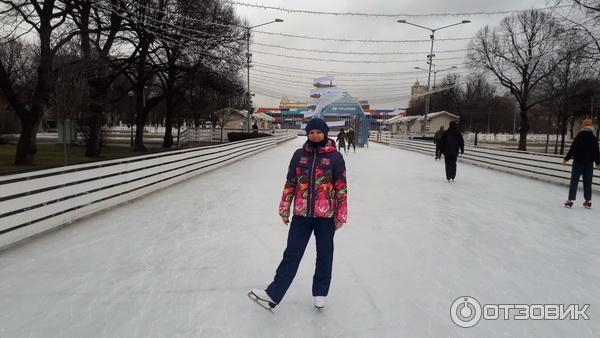 Как сделать каток в парке