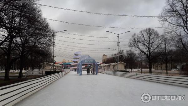 Как сделать каток в парке
