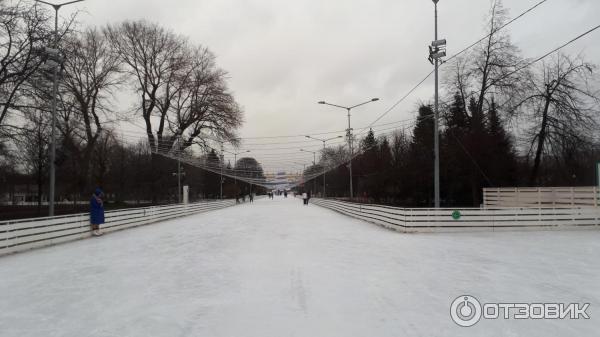 Как сделать каток в парке