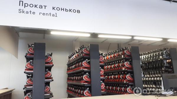 Как сделать каток в парке