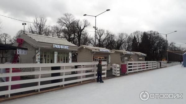 Как сделать каток в парке