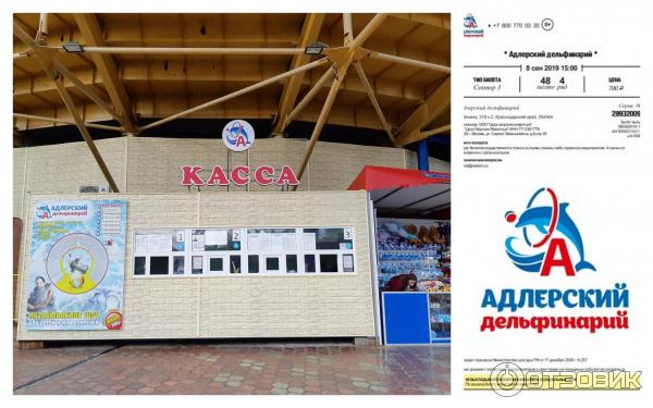какой лучше дельфинарий в адлере. Смотреть фото какой лучше дельфинарий в адлере. Смотреть картинку какой лучше дельфинарий в адлере. Картинка про какой лучше дельфинарий в адлере. Фото какой лучше дельфинарий в адлере