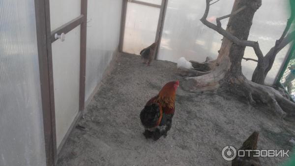 111073 22693518 интерьер номеров сонькина лагуна