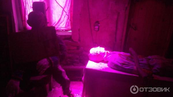 111073 28708565 интерьер номеров сонькина лагуна