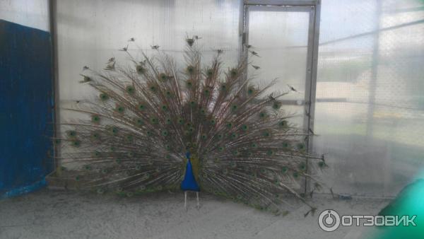 111073 31486155 интерьер номеров сонькина лагуна