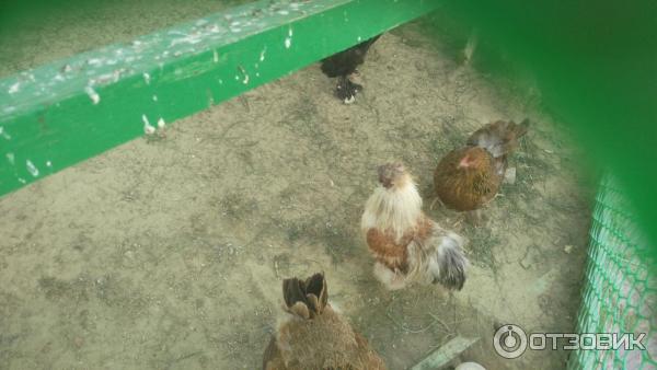 111073 55287474 интерьер номеров сонькина лагуна