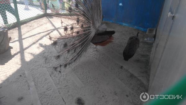 111073 83948938 интерьер номеров сонькина лагуна