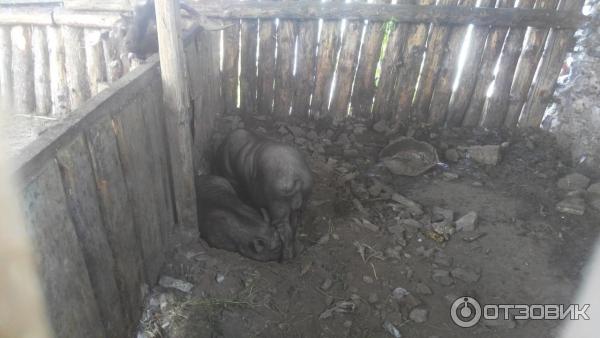 111073 87209257 интерьер номеров сонькина лагуна