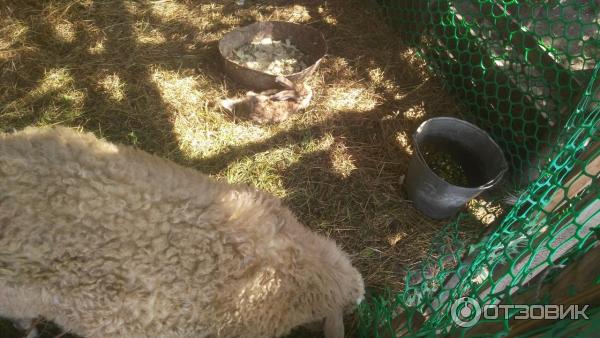 111073 8927475 интерьер номеров сонькина лагуна