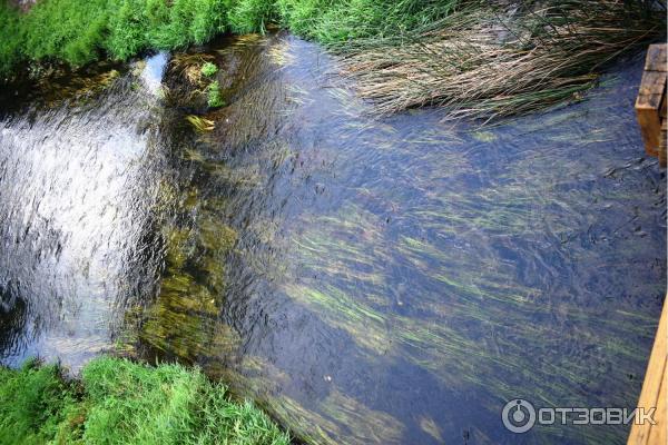 Село Дивеево (Россия, Нижегородская область) фото