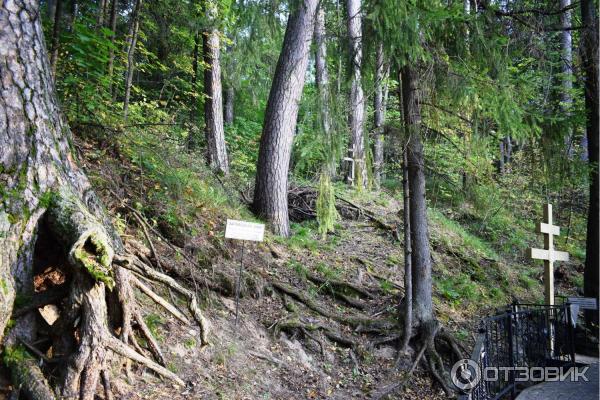 Село Дивеево (Россия, Нижегородская область) фото