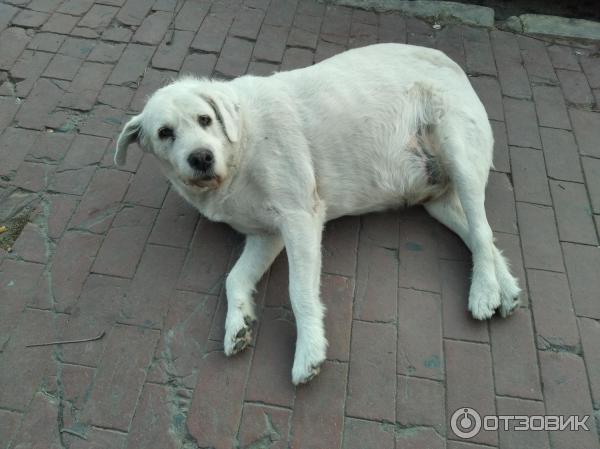 39405 10547619 кушадасы какой регион турции