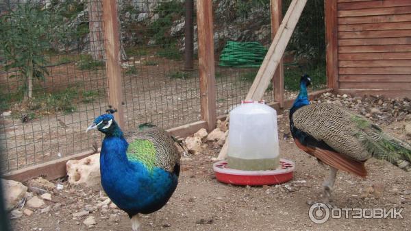 39405 727600 кушадасы какой регион турции