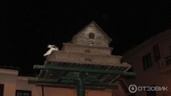 39405 85984114 кушадасы какой регион турции