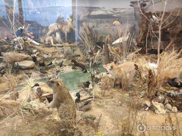 карта третье ратное поле россии. Смотреть фото карта третье ратное поле россии. Смотреть картинку карта третье ратное поле россии. Картинка про карта третье ратное поле россии. Фото карта третье ратное поле россии карта третье ратное поле россии. Смотреть фото карта третье ратное поле россии. Смотреть картинку карта третье ратное поле россии. Картинка про карта третье ратное поле россии. Фото карта третье ратное поле россии