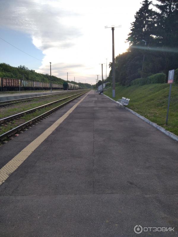 1644428 86502729 жд вокзал моршанск телефон