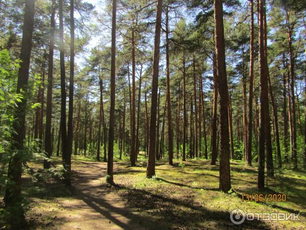 сестрорецк что посмотреть за один день самостоятельно. Смотреть фото сестрорецк что посмотреть за один день самостоятельно. Смотреть картинку сестрорецк что посмотреть за один день самостоятельно. Картинка про сестрорецк что посмотреть за один день самостоятельно. Фото сестрорецк что посмотреть за один день самостоятельно