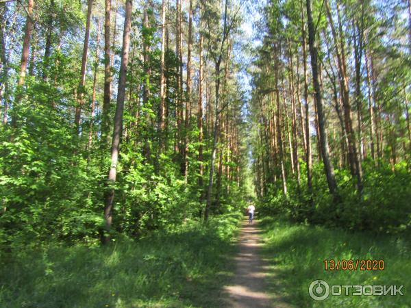 сестрорецк что посмотреть за один день самостоятельно. Смотреть фото сестрорецк что посмотреть за один день самостоятельно. Смотреть картинку сестрорецк что посмотреть за один день самостоятельно. Картинка про сестрорецк что посмотреть за один день самостоятельно. Фото сестрорецк что посмотреть за один день самостоятельно