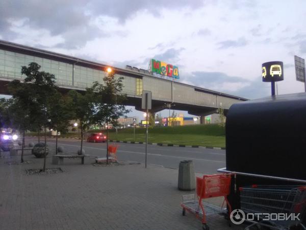 когда откроют мегу белая дача после карантина. Смотреть фото когда откроют мегу белая дача после карантина. Смотреть картинку когда откроют мегу белая дача после карантина. Картинка про когда откроют мегу белая дача после карантина. Фото когда откроют мегу белая дача после карантина
