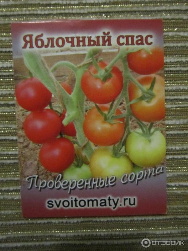 Томат Яблочный спас описание сорта характеристики и отзывы Выращивание болезни и вредители