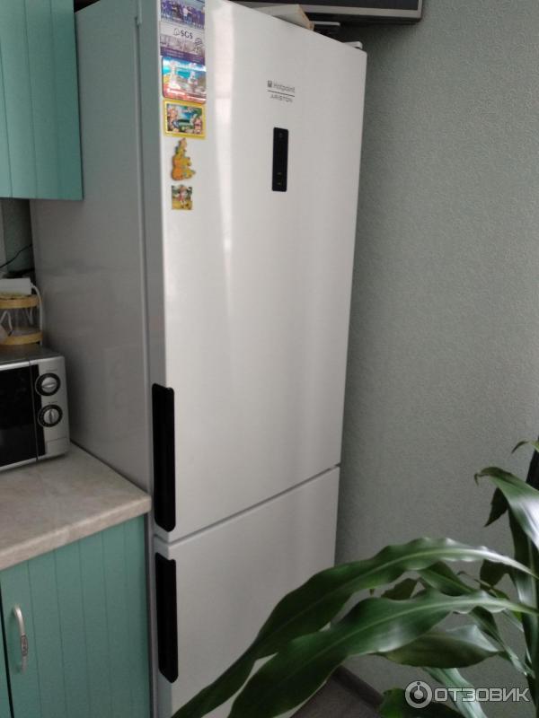 Холодильник Hotpoint-Ariston HF 5200 W фото