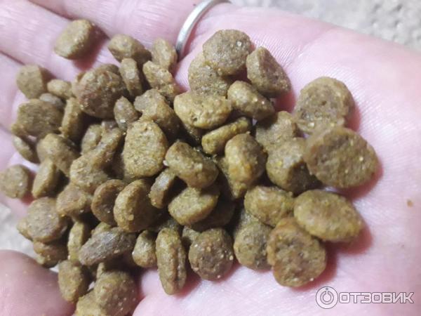 Advance корм для собак малых пород с чувствительным пищеварением лосось и рис mini sensitive