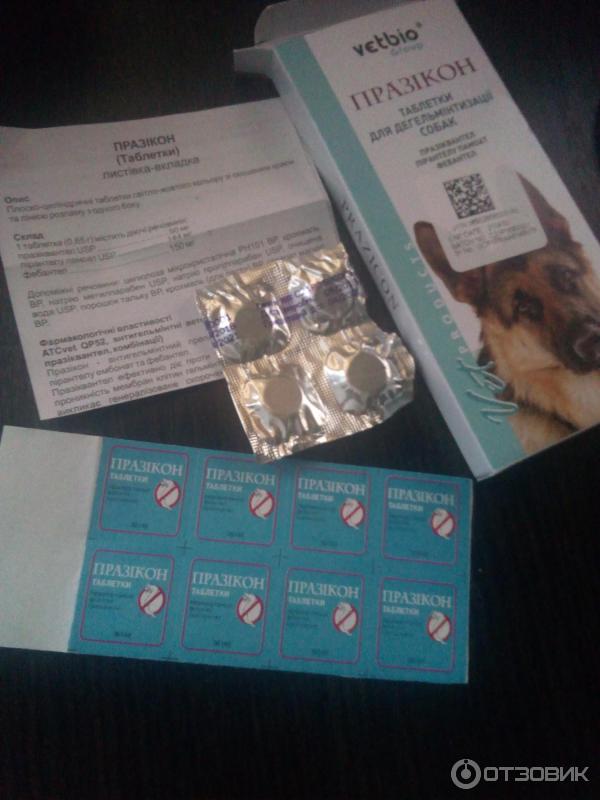 За сколько нужно глистогонить собаку до прививки. Дегельминтизация собак. Дегельминтизация щенков препараты. Дегельминтизация лекарство для собак. Препараты для дегельминтизации мелких животных.