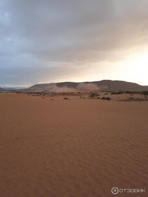 пустыня Бу Саады