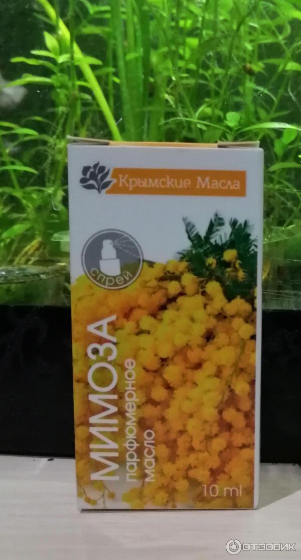 Парфюмерное масло Крымские масла Мимоза фото