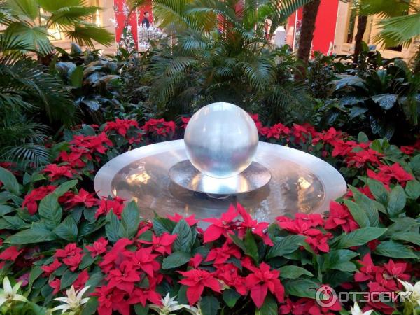 Акция цветок памяти крокус сити. Крокус Сити Молл фонтан шар. Зимний сад в Крокусе. Фонтан в Крокусе. Крокус фонтан зимой.