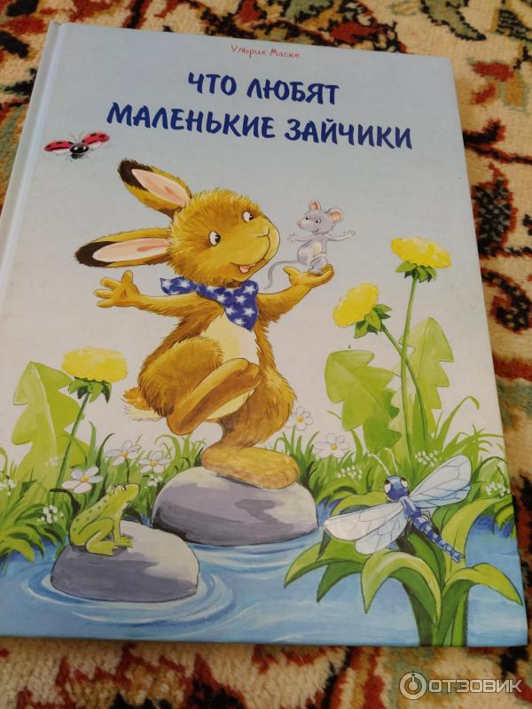 Собрались старые зайцы сбежались маленькие зайчата. Маленький зайчик книга. Книга про маленького зайчика игра. Книжка про маленького зайчонка обложка. Блок маленькому зайчику.