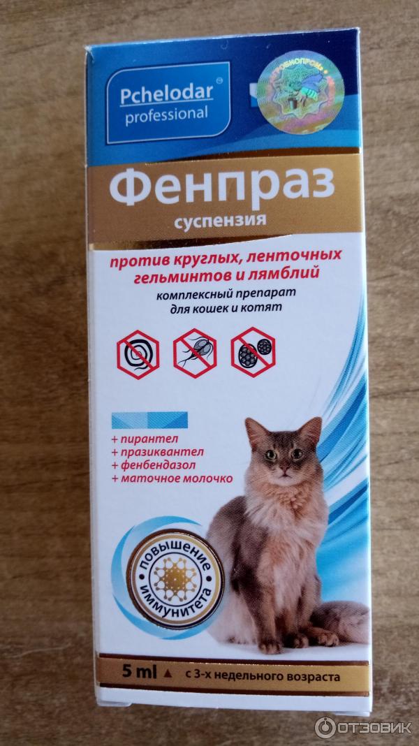 Отзыв о Антигельминтик суспензия Агробиопром Фенпраз для котят и кошек |  Действует на гельминтов и лямблий