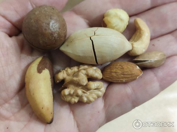 Тропические экзотические орехи: фото и названия