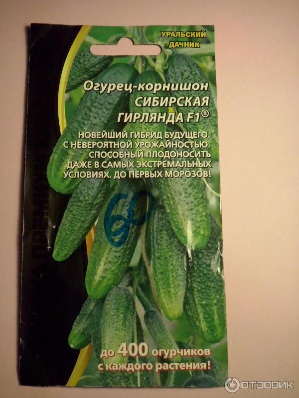 Сибирский дачник семена включать свет семена конопли