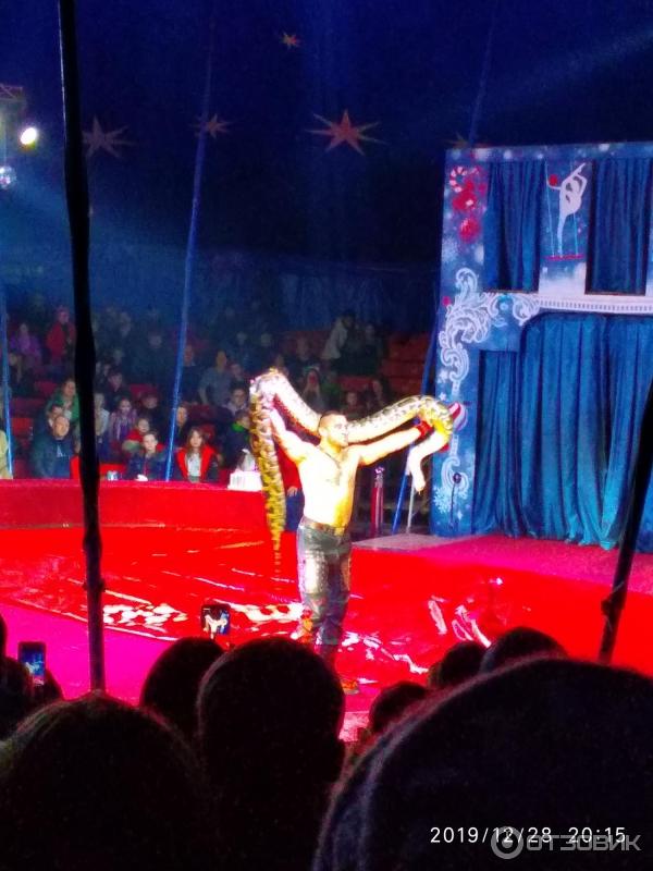 цирк династии довгалюк таганрог. цирк шапито краснодар отзывы. уральский цирк шапито. цирк шапито краснодар отзывы. цирк шапито краснодар отзывы.