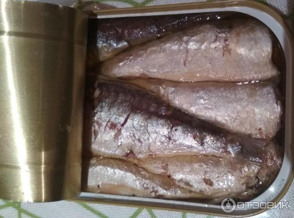 Отзыв о Сардины в растительном масле ADRIATIC QUEEN | Настоящая сардина