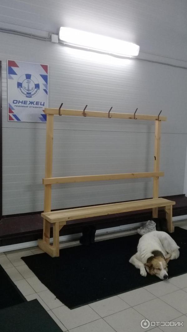 otzyv o ledovyj stadion onezhec