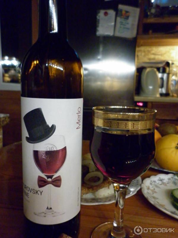 озментес вайн вино. винзавод юровский анапа. Wine day вино с собакой. ред вайн. вино каберне красное сухое юровский.