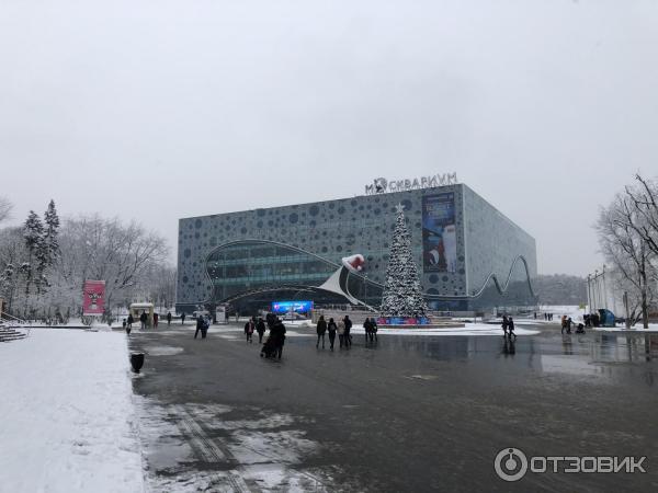 Шоу Вокруг Света За Новый Год Шоу Вокруг Света За Новый Год