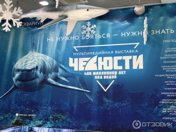 Центр океанографии и морской биологии Москвариум (Россия, Москва) фото